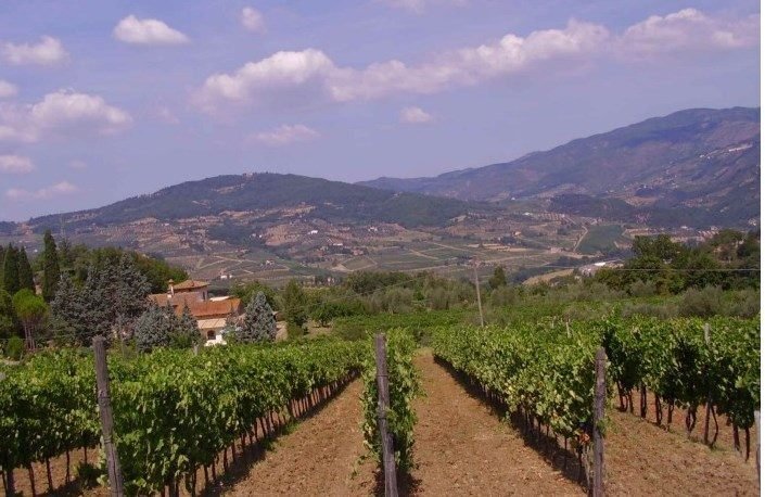 Country House in Rufina, Tuscany, Italy 3 - 15907582