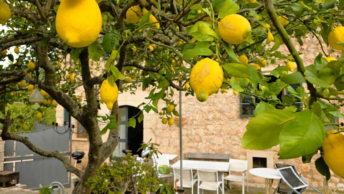 House in Soller, Balearic Islands, Spain 2 - 18243342