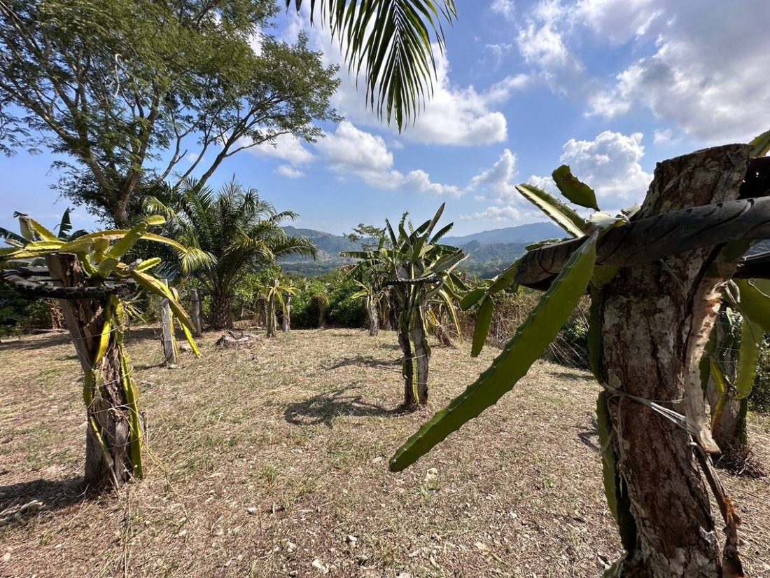 House in Punta Arenas, Puntarenas Province, Costa Rica 1 - 18235773