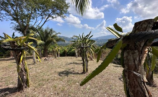 House in Lepanto, Puntarenas Province, Costa Rica 1