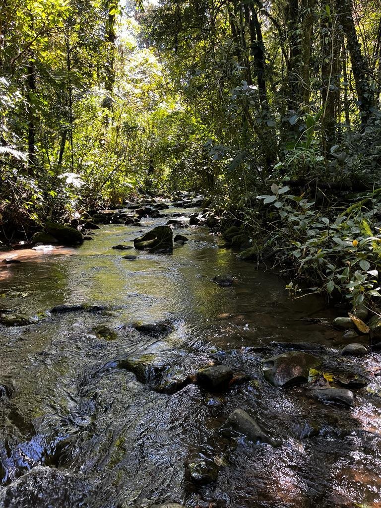 Land in Puntarenas, Tilarán, Costa Rica 5 - 18240928