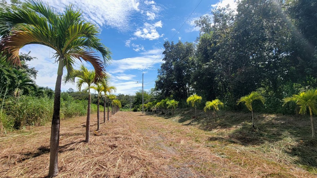 Land in Liberia, Liberia, Costa Rica 2 - 18246471
