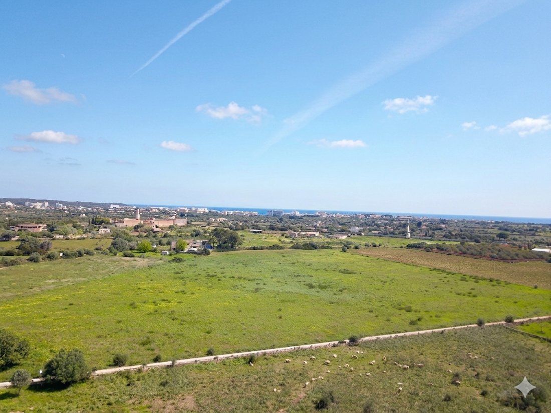 Terreno a Manacor, Isole Baleari, Spagna 1 - 18242081