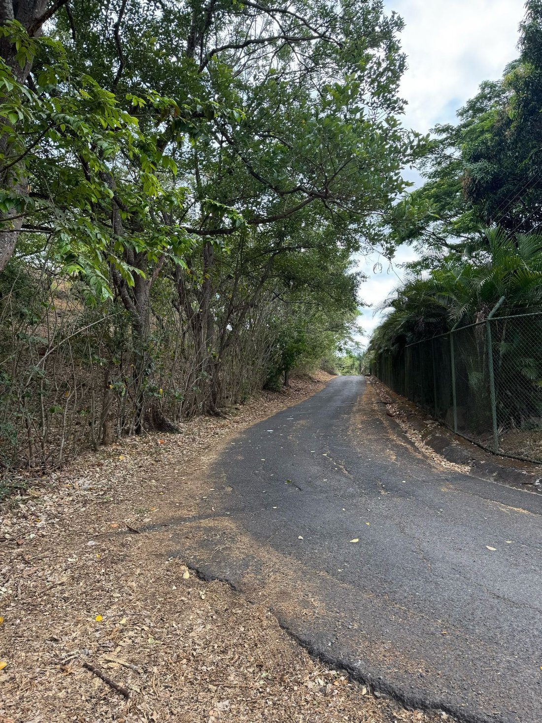 Land in Alajuela, Costa Rica 3 - 18241004