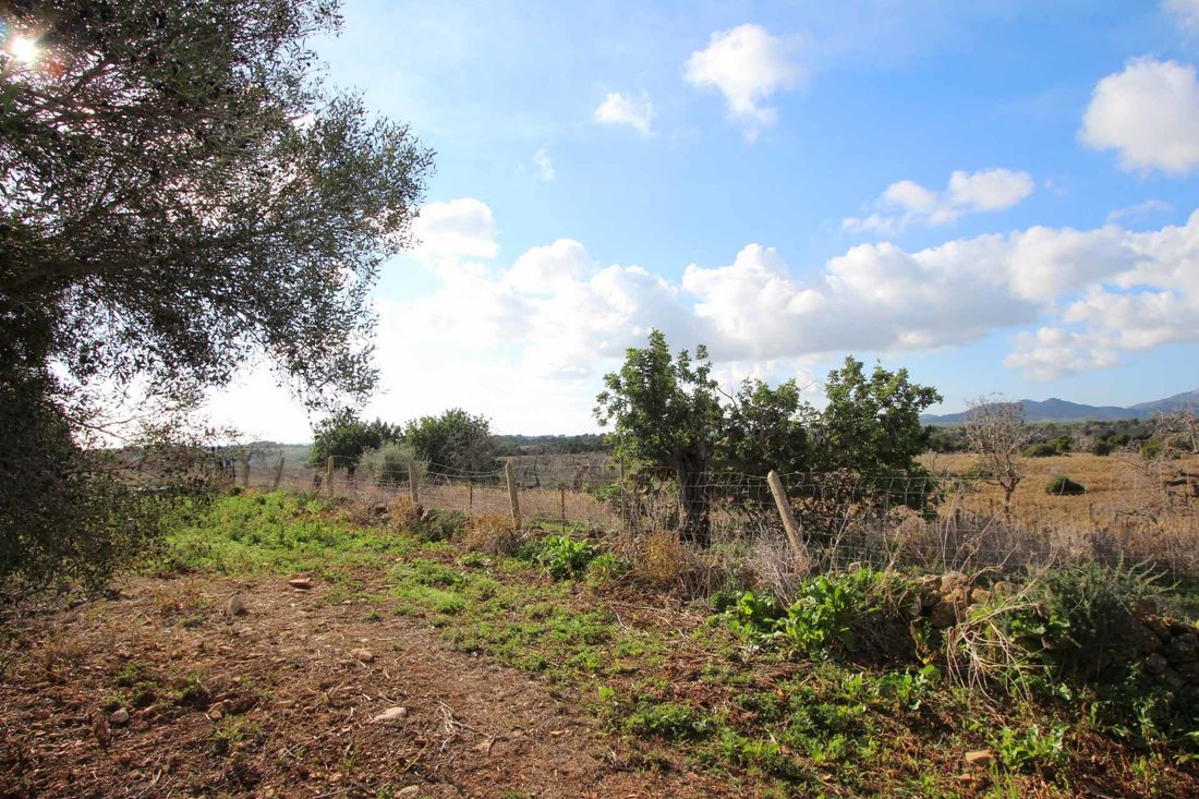 Finca in Cala Murada, Manacor, Balearic Islands 3 - 18242199