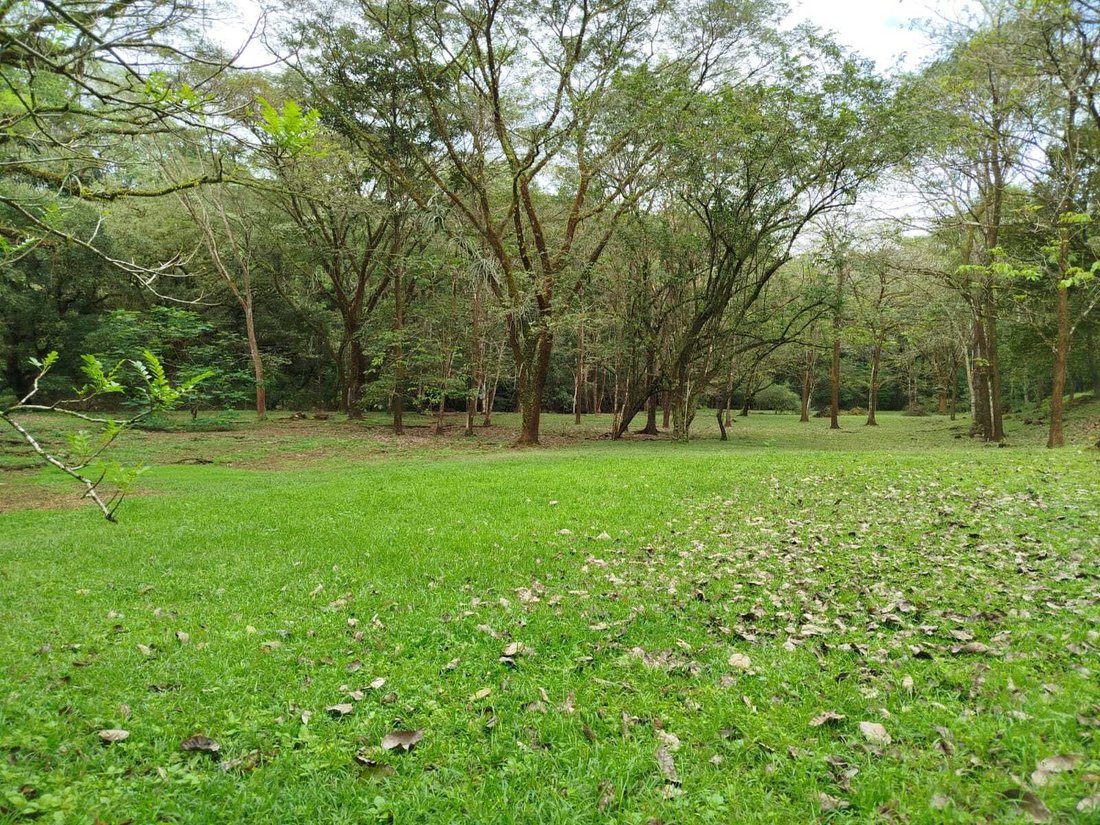 Land in Orotina, Orotina, Costa Rica 2 - 18238430