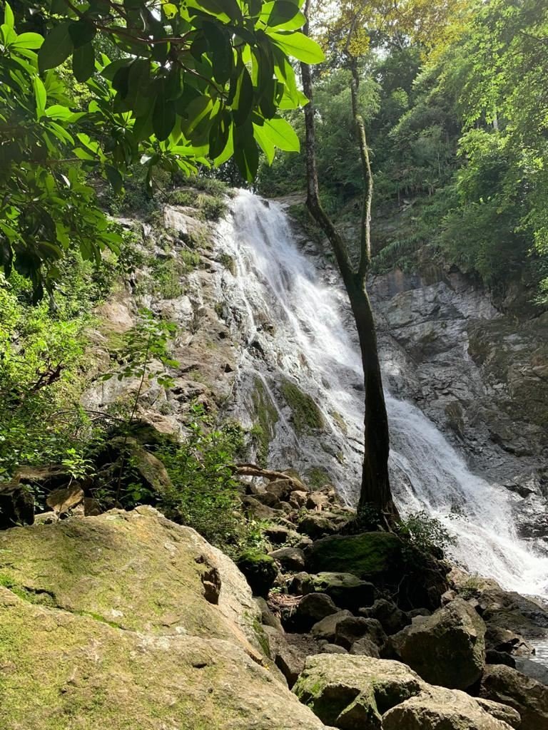 Land in Carmona, Guanacaste Province, Costa Rica 1 - 18237022