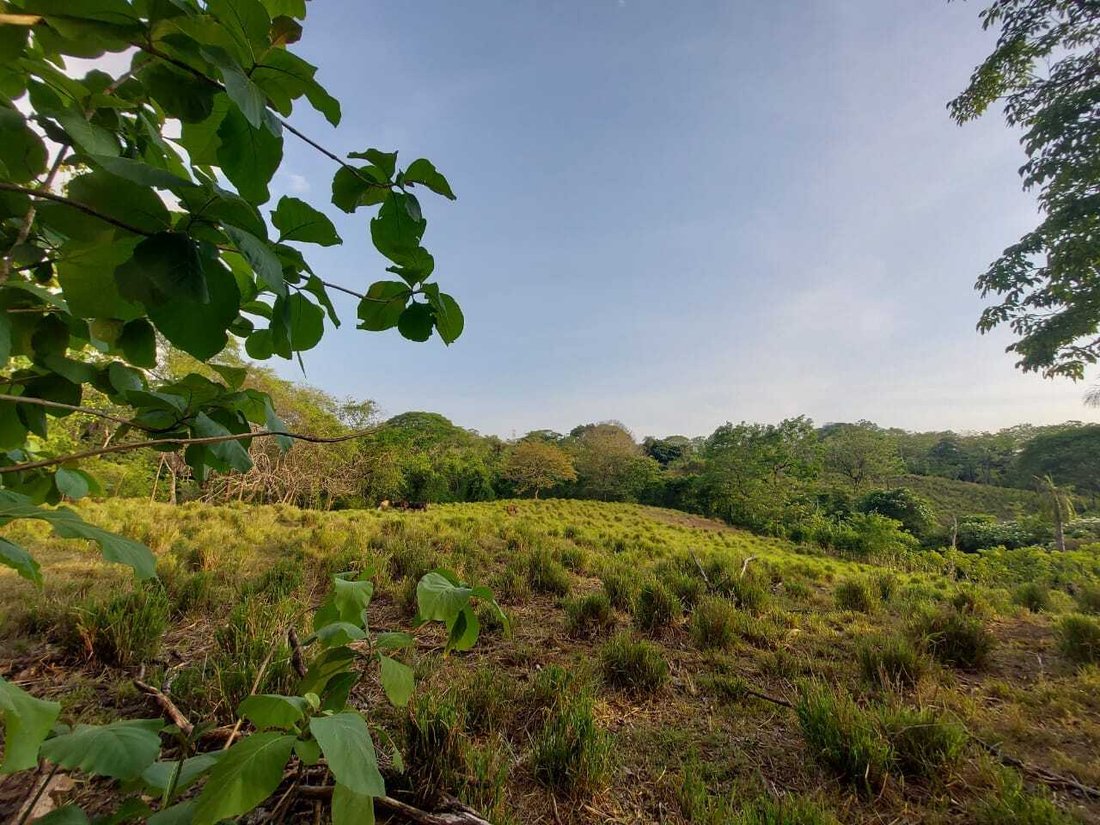 Land in Carara, San José Province, Costa Rica 1 - 18240091