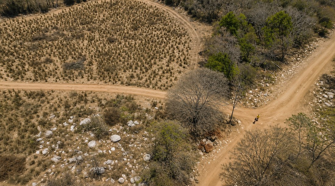 Land in Los Capulines, Guerrero, Mexico 5 - 18245973