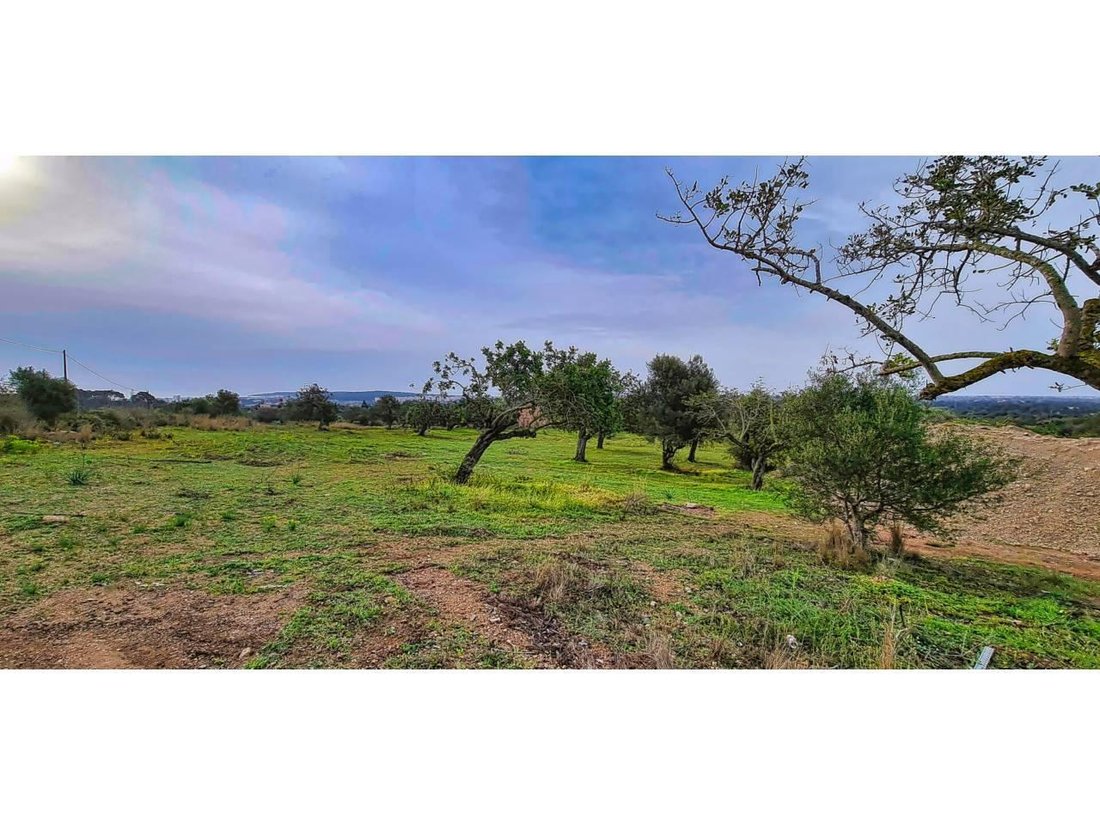 Finca in Son Servera, Balearic Islands, Spain 1 - 18242108
