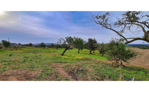 Finca in Son Servera, Balearische Inseln, Spanien 1