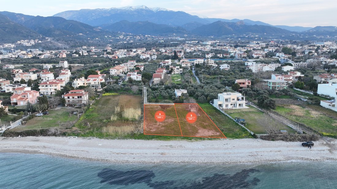 Land in Agiou Basileiou, Peloponnese, Western Greece and the Ionian, Greece 3 - 14306500