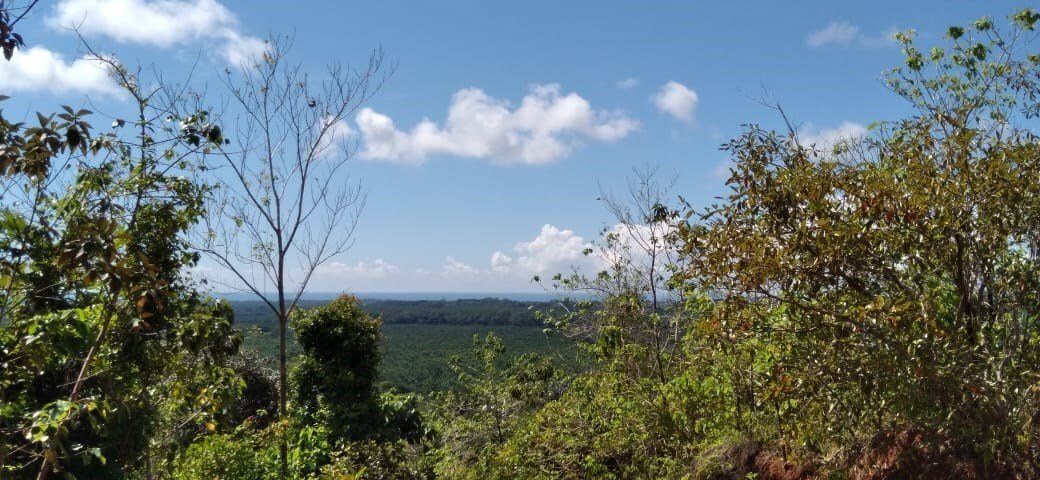 Land in Savegre de Aguirre, Puntarenas Province, Costa Rica 3 - 18237392