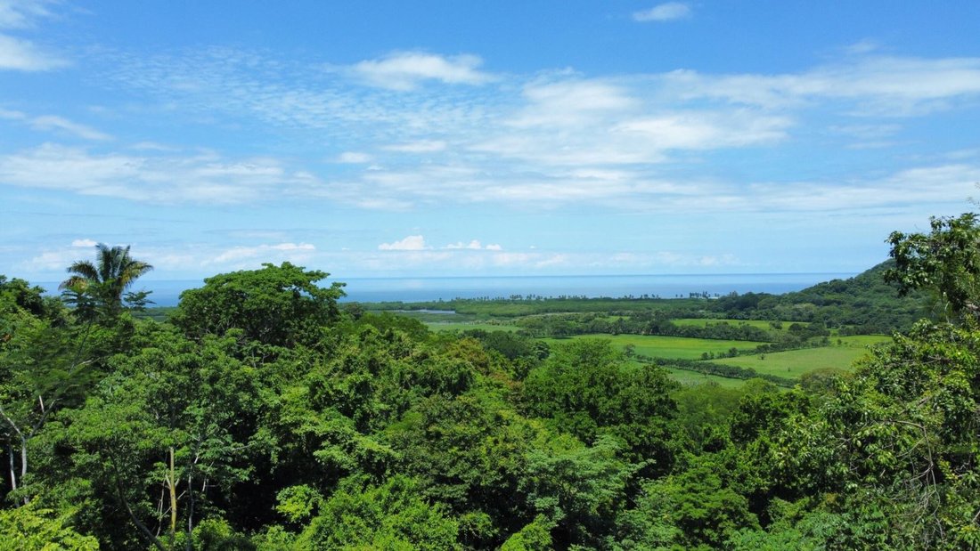 Land in San Francisco de Coyote, Guanacaste Province, Costa Rica 3 - 18241207