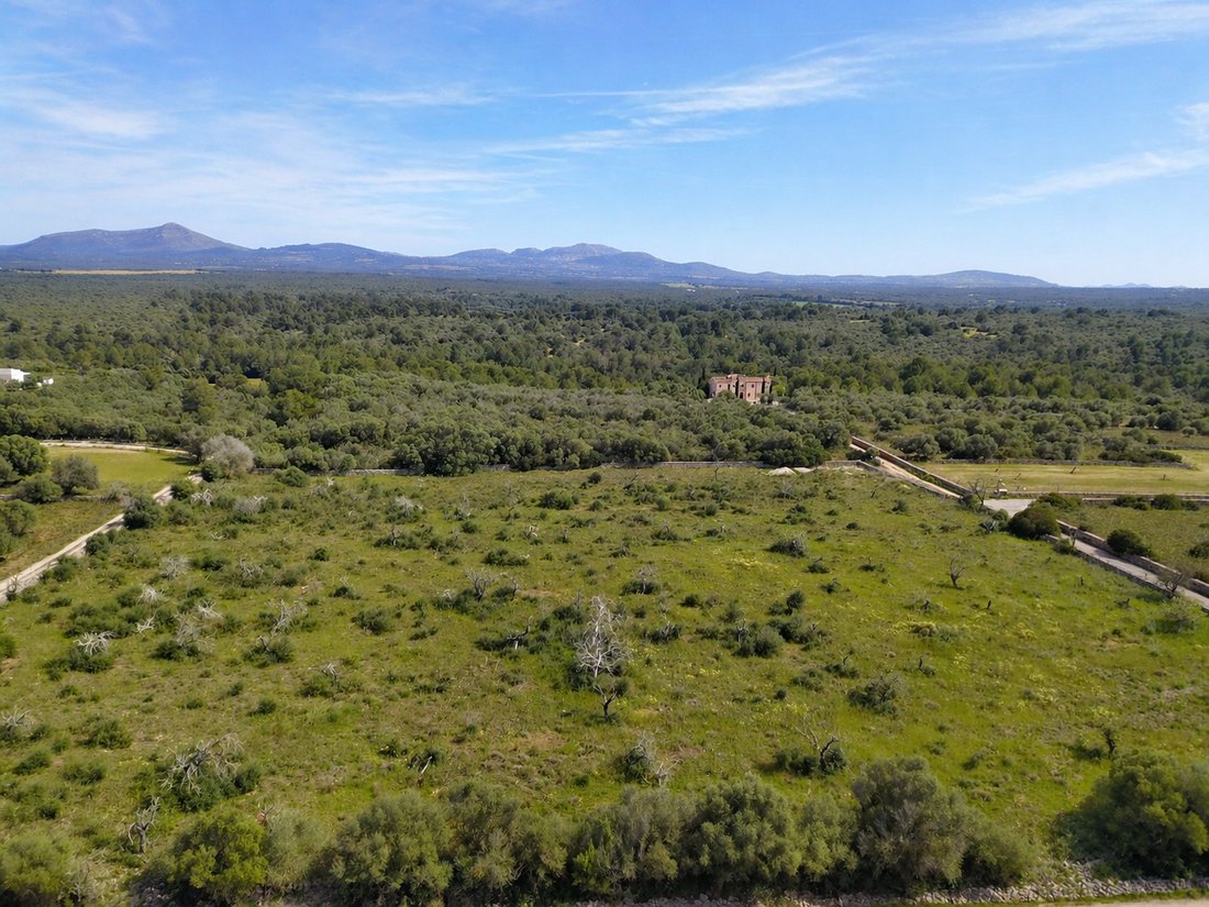Terrain à Santa Margalida, Îles Baléares, Espagne 3 - 18241966