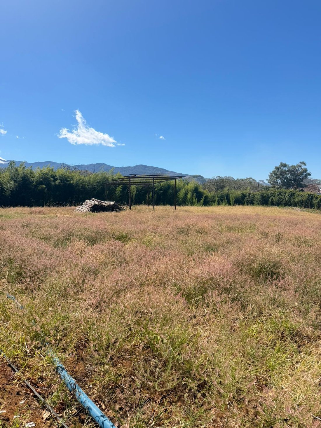 Land in Alajuela, Costa Rica 5 - 18240135