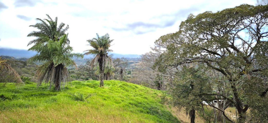 Land in Concepción, Guanacaste Province, Costa Rica 5 - 18240983
