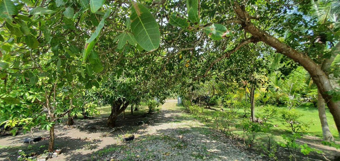 House in Bajamar, Puntarenas Province, Costa Rica 2 - 18238160