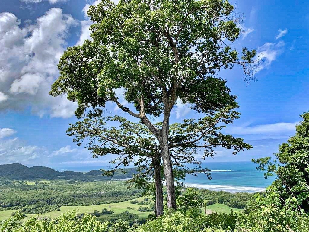 Land in Puerto Carrillo, Nandayure, Costa Rica 4 - 18239270