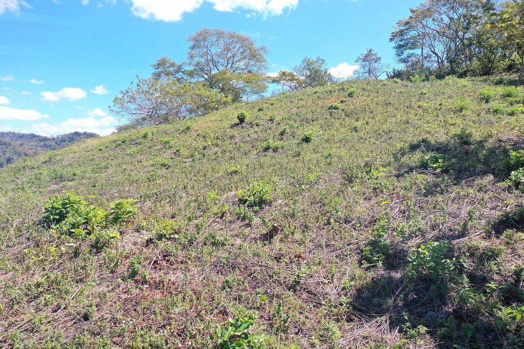 Land in Pinilla, Guanacaste Province, Costa Rica 4 - 18236175