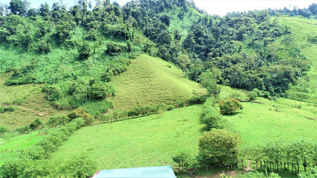 Land in San Isidro, Pérez Zeledón, Costa Rica 3 - 18241658