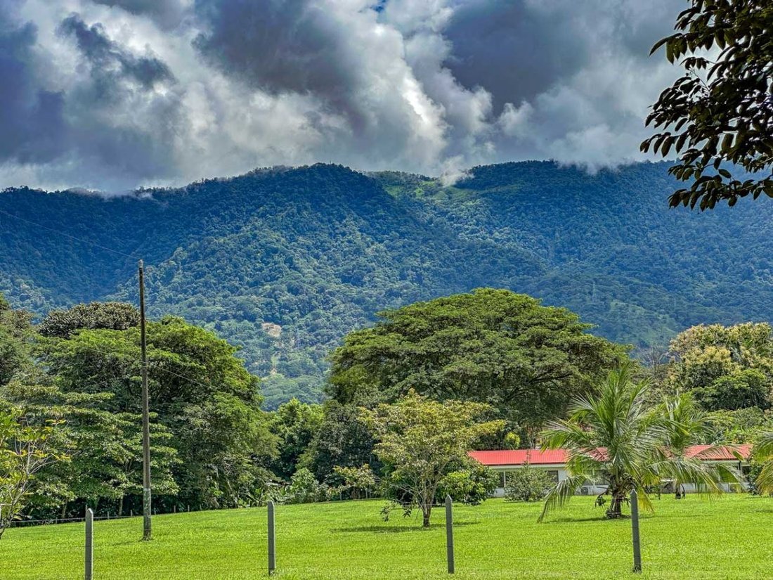 Land in Palmar Sur, Puntarenas Province, Costa Rica 2 - 18241091