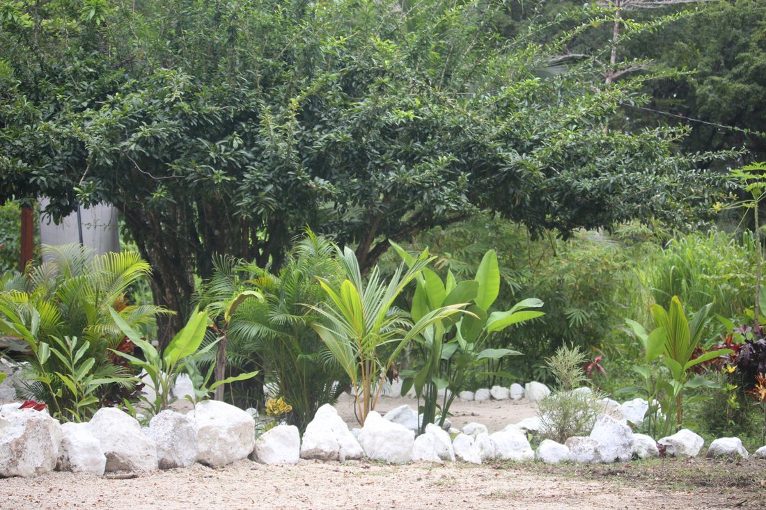 House in Carmen Beach, Puntarenas Province, Costa Rica 5 - 18235850