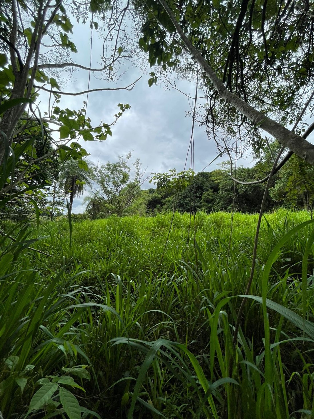 Terrain à Turrubares, Turrubares, Costa Rica 5 - 18239902