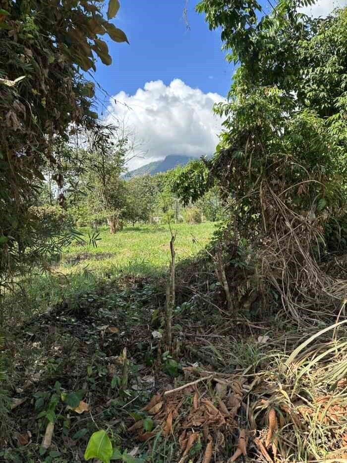 Land in Ojochal, Puntarenas Province, Costa Rica 3 - 18241307