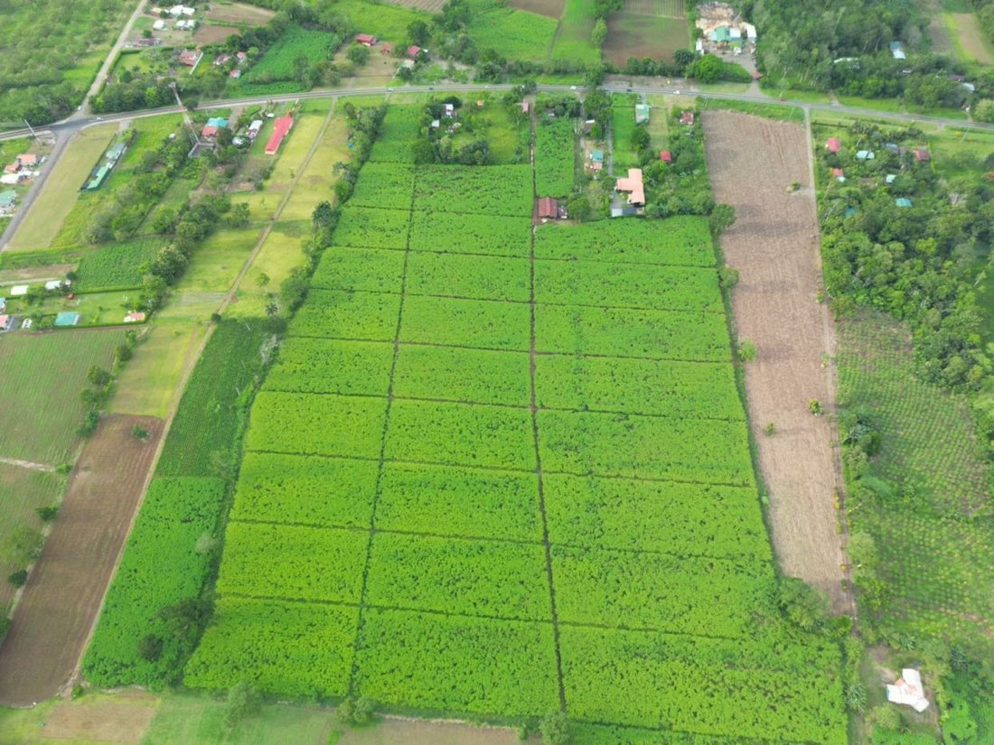Land in San José, Alajuela Province, Costa Rica 5 - 18237092