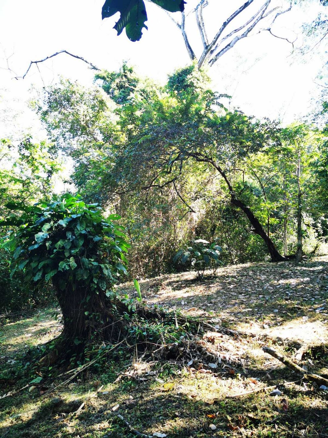House in Carmen Beach, Puntarenas Province, Costa Rica 2 - 18235837