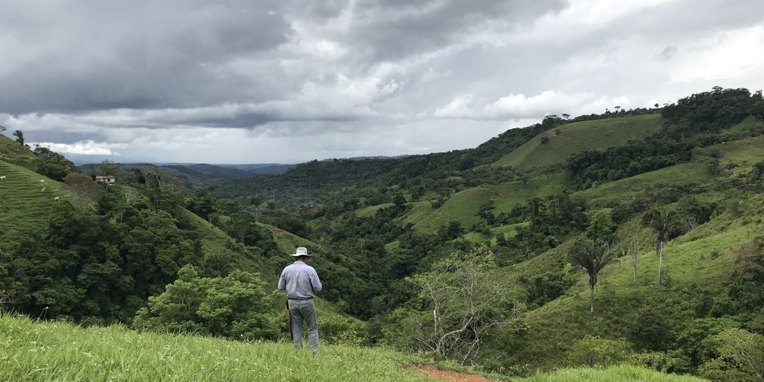 Terreno a Pérez Zeledón, Cantone di Pérez Zeledón, Costa Rica 5 - 18241312