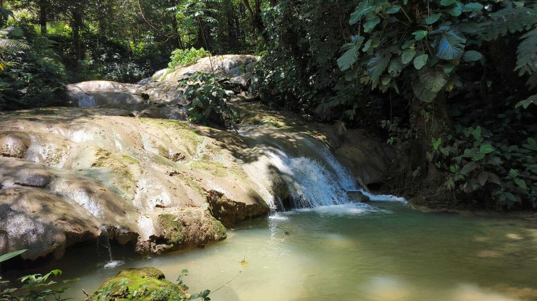 Land in Rio Claro, Provinz Puntarenas, Costa Rica 4 - 18246628