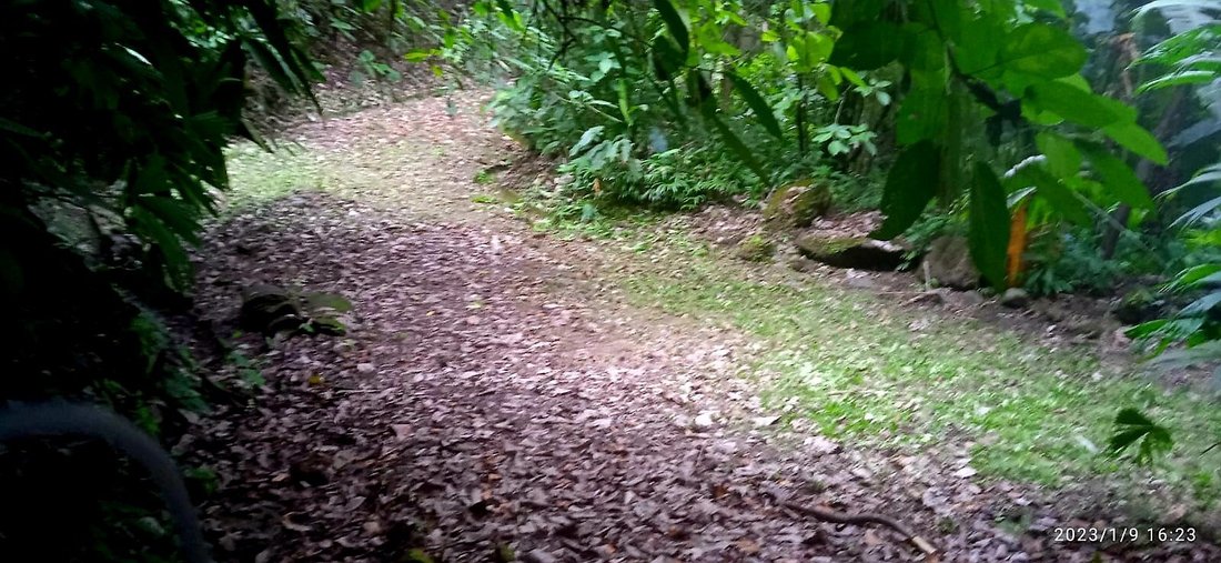 Land in Quepos, Puntarenas Province, Costa Rica 4 - 18237396