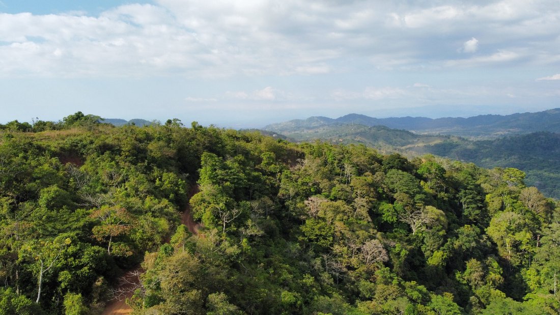 Land in Garabito, Costa Rica 5 - 18241828