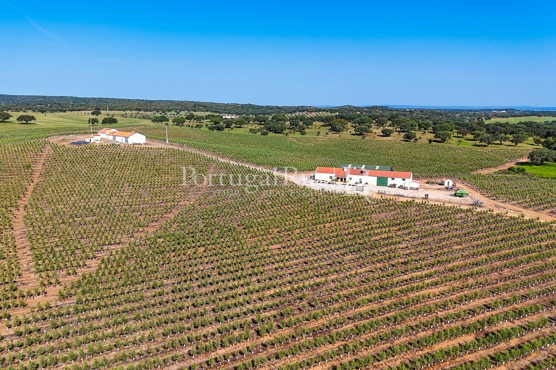 Estate in Sao Mancos e Sao Vicente do Pigeiro, Évora District, Portugal 1 - 18239129
