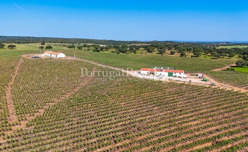 Tenuta a Sao Mancos e Sao Vicente do Pigeiro, Distretto di Évora, Portogallo 1
