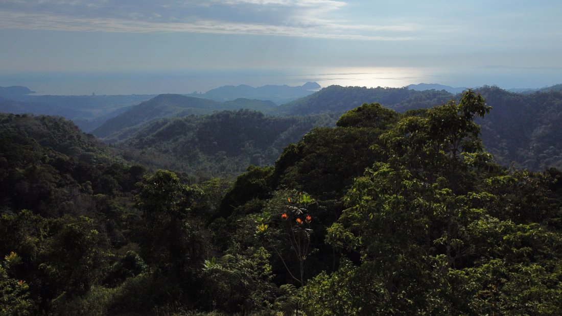 Land in Garabito, Costa Rica 2 - 18241828