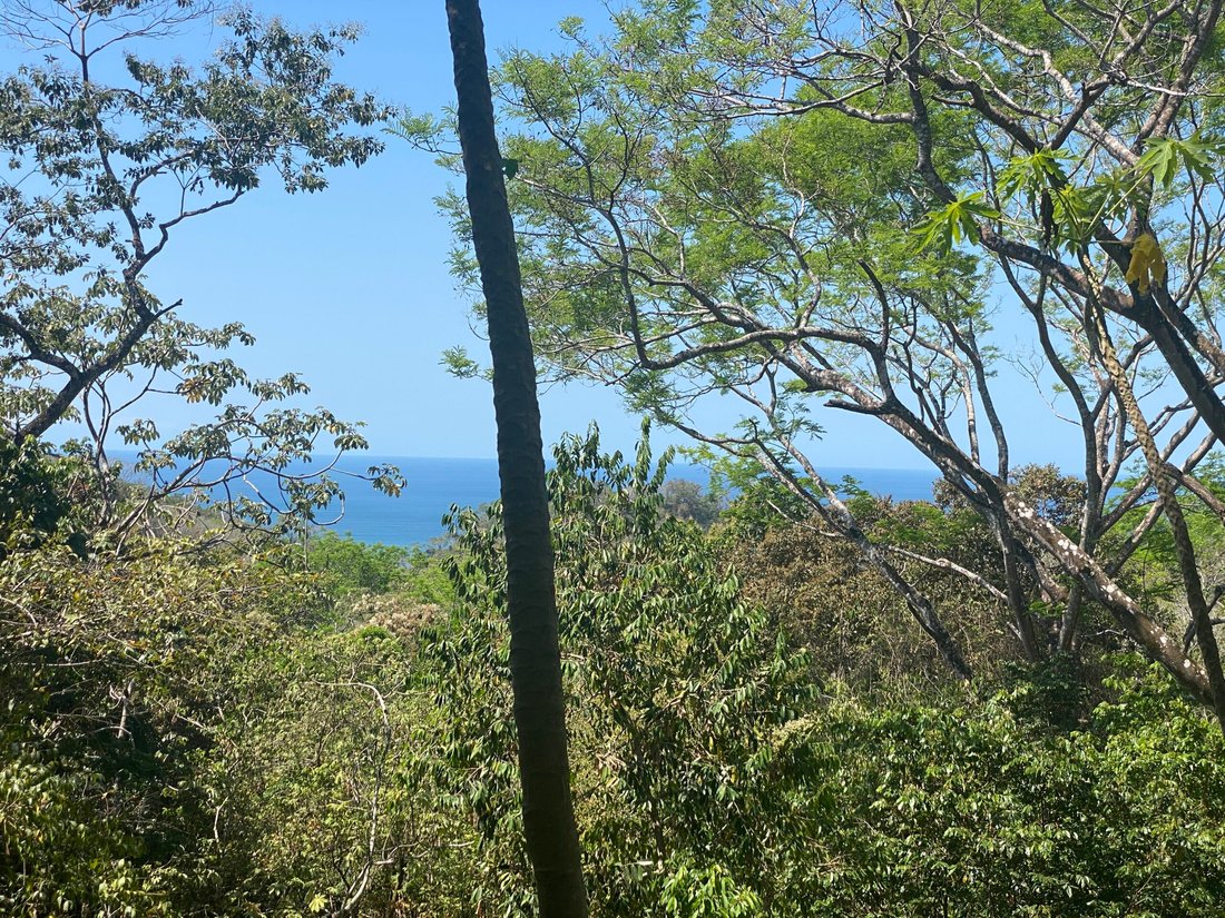 House in Carmen Beach, Puntarenas Province, Costa Rica 2 - 18235816