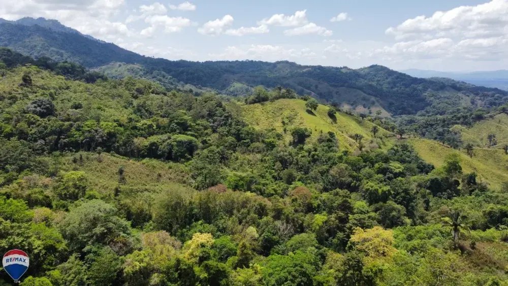 Land in Ciudad Cortés, Puntarenas Province, Costa Rica 5 - 18246641