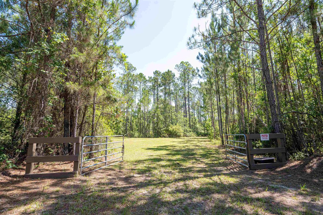 House in Hosford, Florida, United States 2 - 18241381