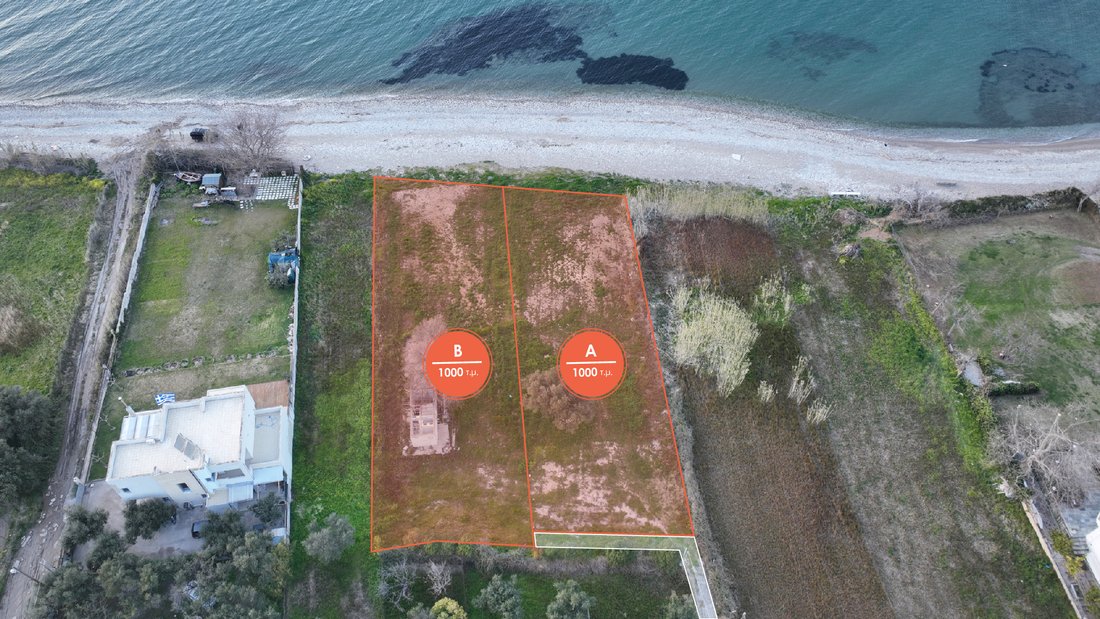 Land in Agiou Basileiou, Peloponnese, Western Greece and the Ionian, Greece 4 - 14306500