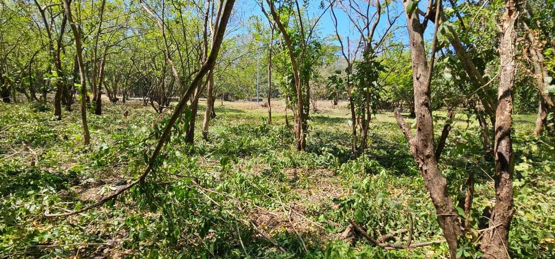 Land in Barco Quebrado, Guanacaste Province, Costa Rica 5 - 18238599