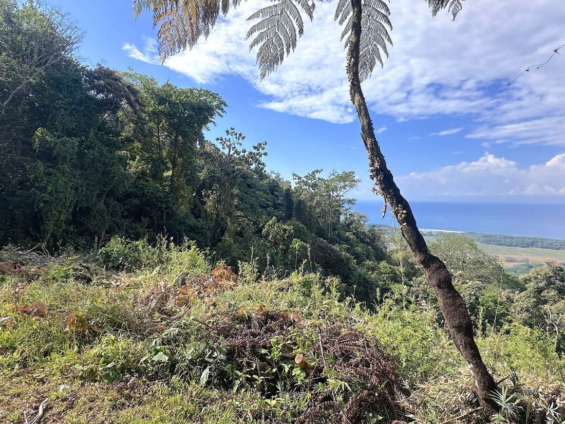 Land in Savegre de Aguirre, Puntarenas Province, Costa Rica 2 - 18241110