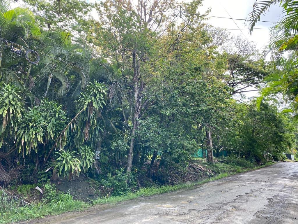 House in Playa Hermosa de Osa, Paraíso, Costa Rica 3 - 18235786