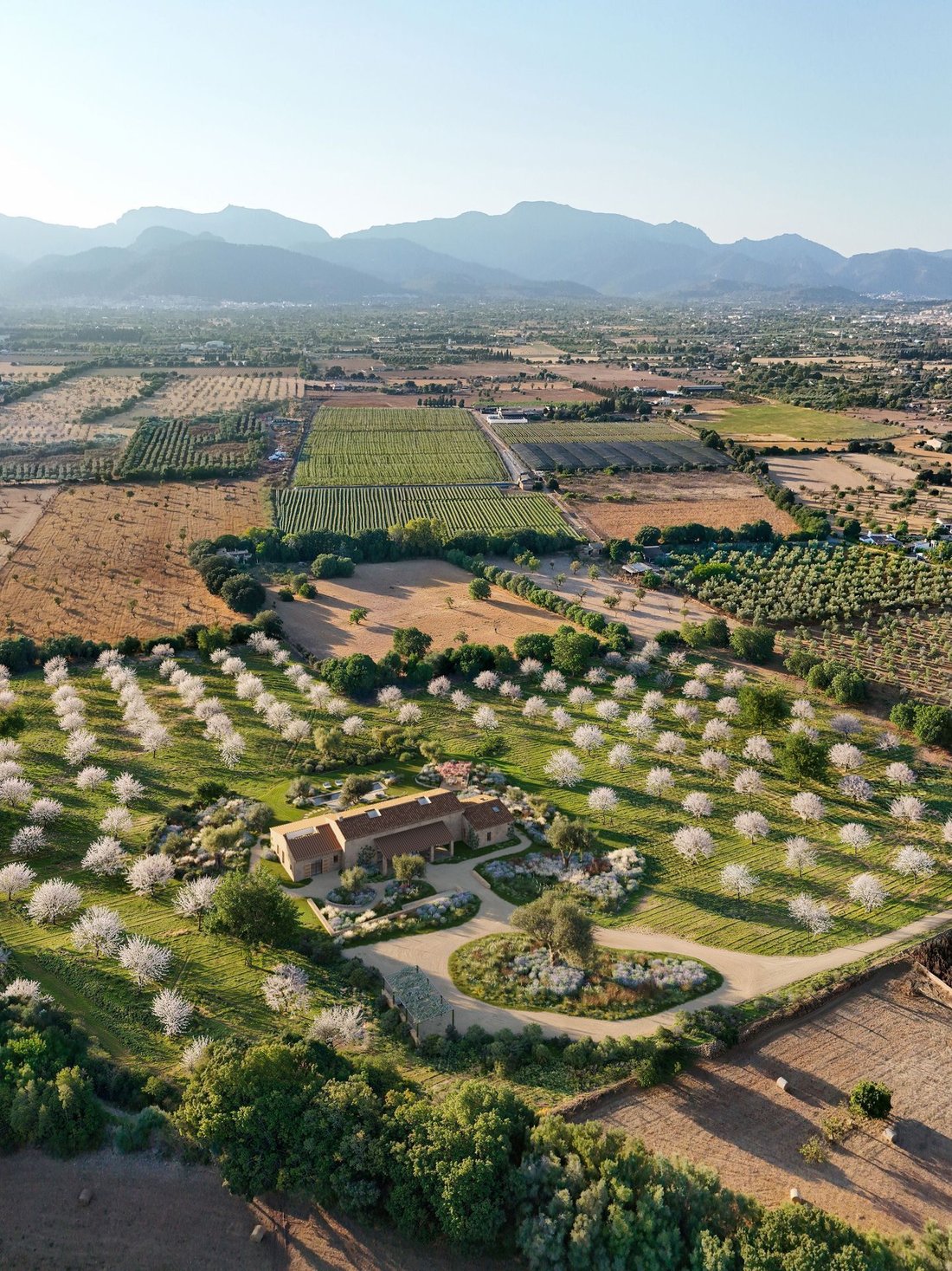 Finca in Binissalem, Balearic Islands, Spain 4 - 18242826