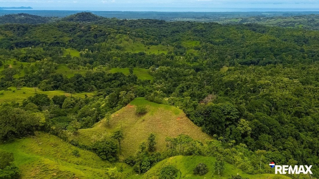 Land in Parrita, Costa Rica 5 - 18245809
