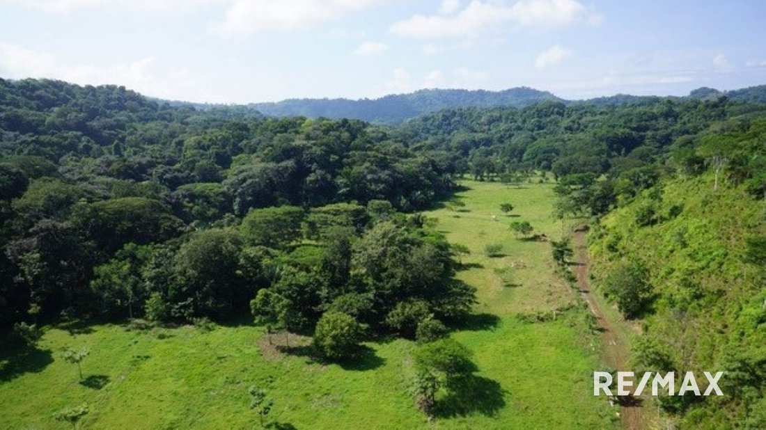 Terreno a Playa Agujas, Provincia di Puntarenas, Costa Rica 5 - 18241484
