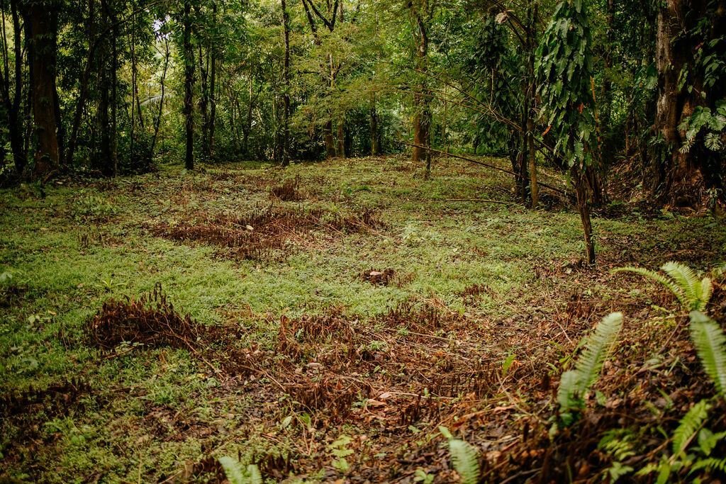 Land in Quepos, Puntarenas Province, Costa Rica 2 - 18241100