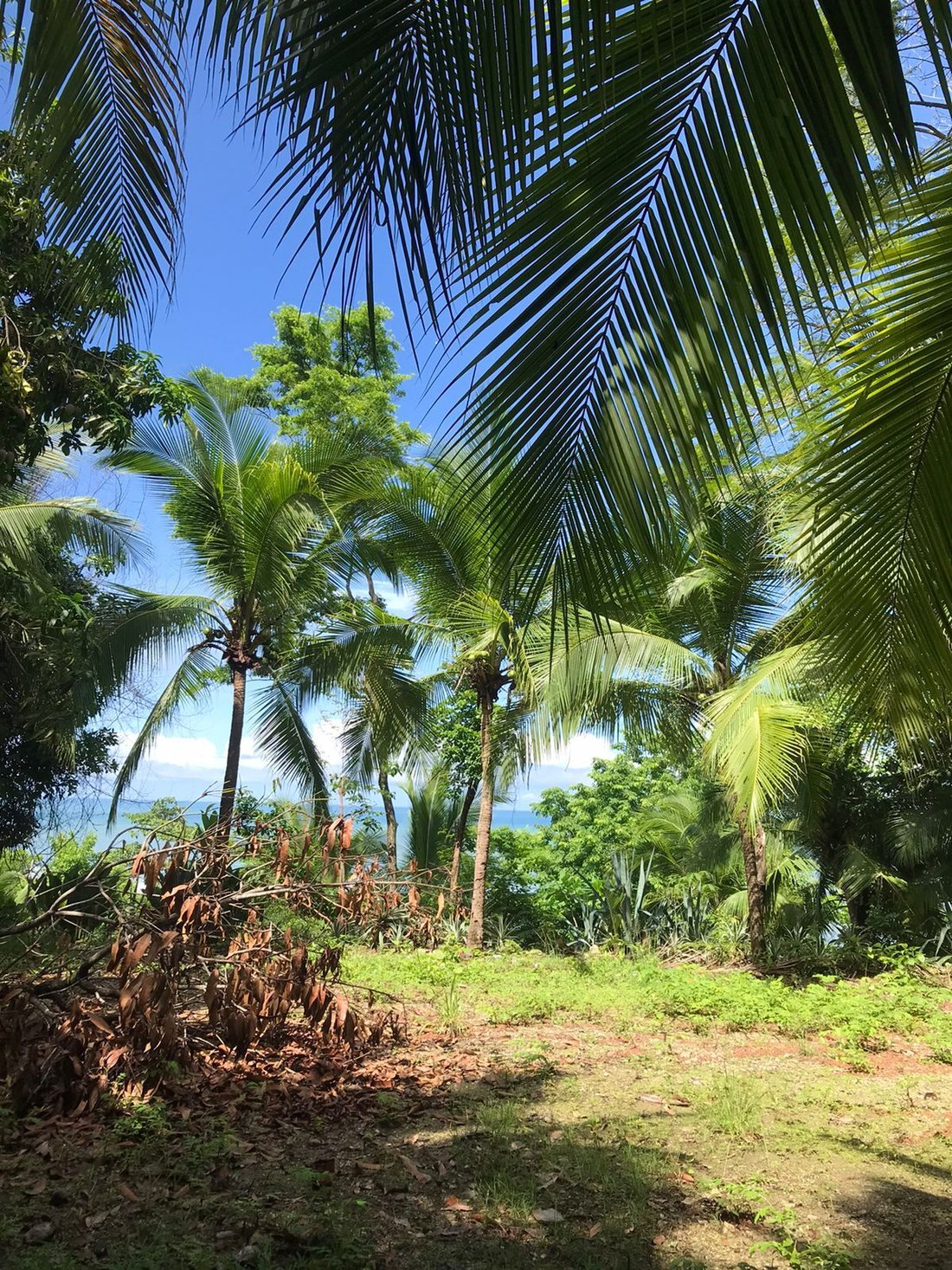 House in Carmen Beach, Puntarenas Province, Costa Rica 1 - 18235845